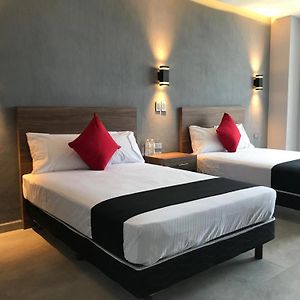 Double Room Mountain View